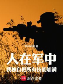 我的军功能加点大结局