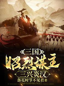 三国昭烈谋主三兴炎汉免费阅读