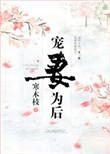宠妻为后全文