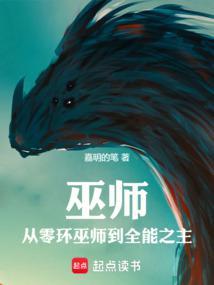 巫师章节