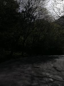 凝望的意思是