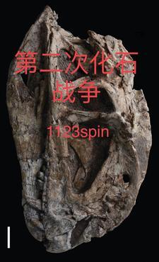 第二次化石战争设定bilibili