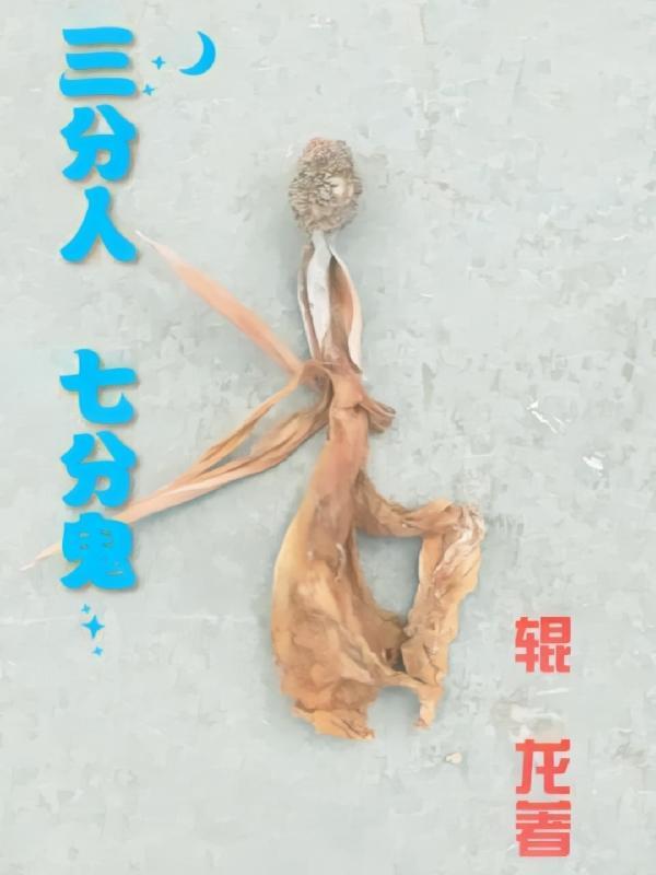 三分人七分鬼不三不4