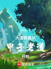 大道朝真从甲子老道开始全文免费