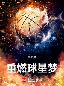 重燃球星梦 第372章